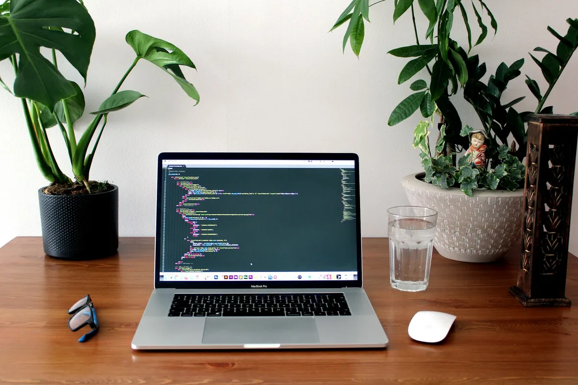 Illustrative software development desk with code on a laptop and green plants